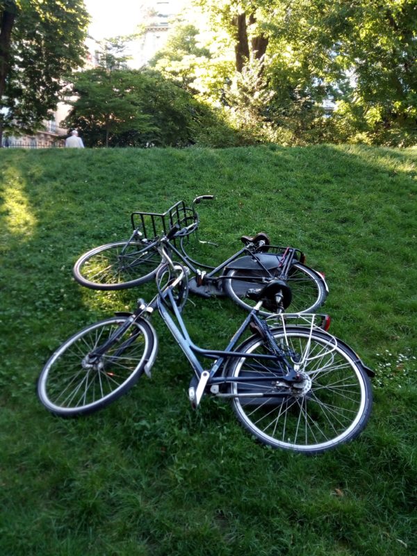Cyclamelle et Cyclaman